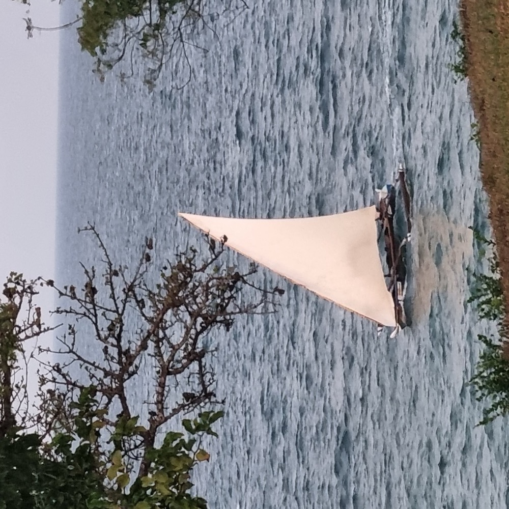 A traditional dhow under sail on Kilifi Creek