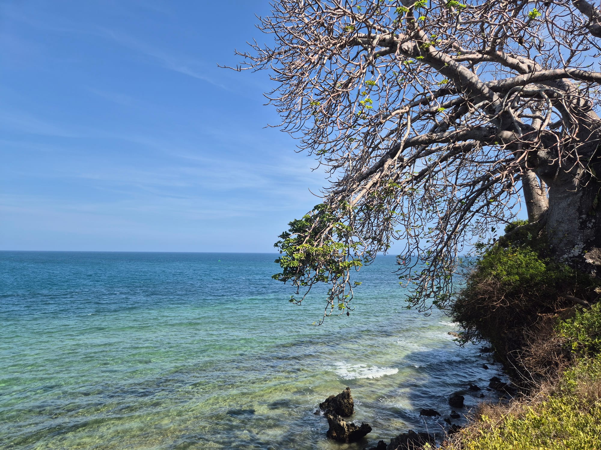 The Indian Ocean shoreline near Mnarani Beach Club