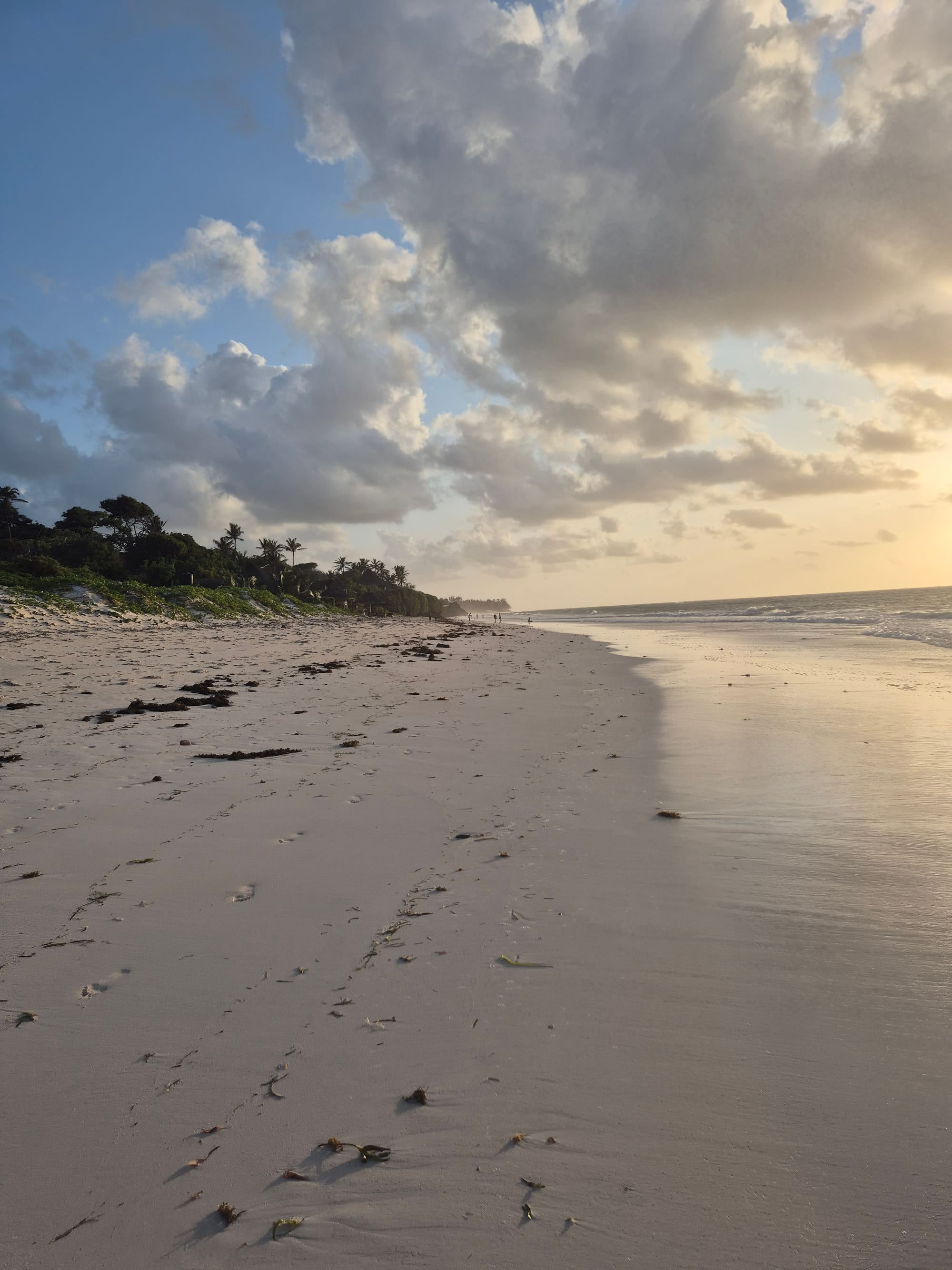 Bofa Beach at sunset